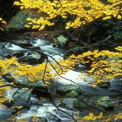 万博全站ManBetX官网截图